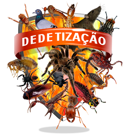 dedetizacao2